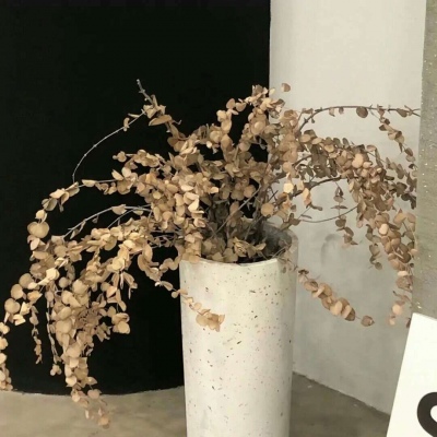 Furry插画细节灵感FurryQQ群